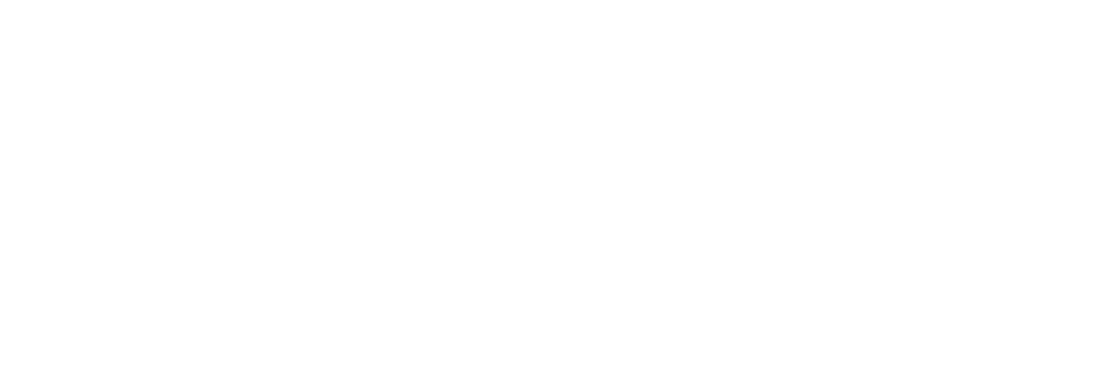 DCS DogPaw
